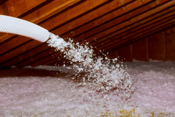 Best Cellulose Insulation  in Mcelhattan, PA
