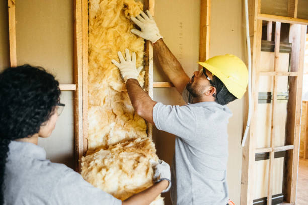 Best Crawl Space Insulation  in Mcelhattan, PA