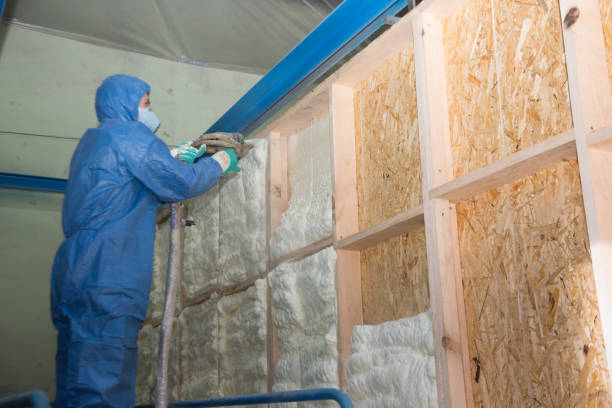 Best Affordable Insulation Services  in Mcelhattan, PA