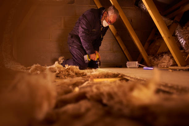 Best Home Insulation Services  in Mcelhattan, PA