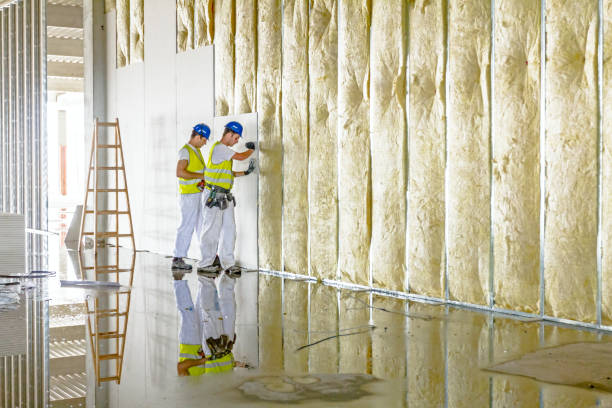 Best Insulation Contractor Near Me  in Mcelhattan, PA